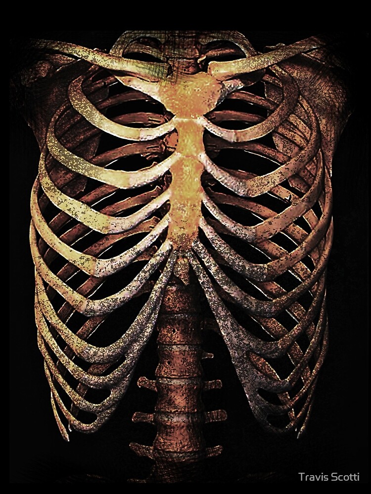 Sleeveless T-Shirts for Sale | Redbubble