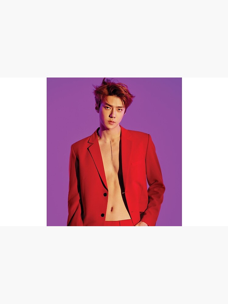 EXO Love Shot Sehun | Zipper Pouch