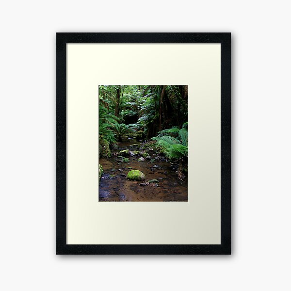 Item preview, tarra bulga national park gippsland,3 designed and sold by dmaxwell.
