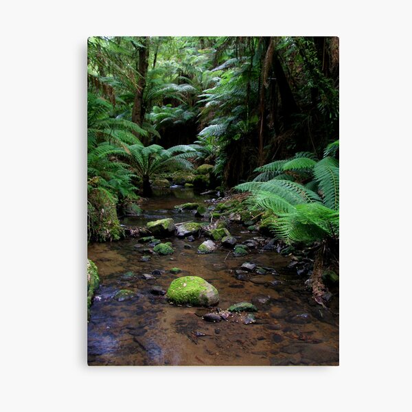 Item preview, tarra bulga national park gippsland,3 designed and sold by dmaxwell.