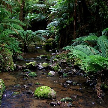 Artwork thumbnail, tarra bulga national park gippsland,3 by dmaxwell
