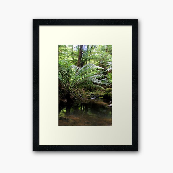 Item preview, tarra bulga national park gippsland,2 designed and sold by dmaxwell.