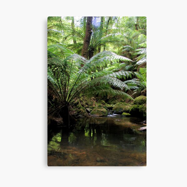 Item preview, tarra bulga national park gippsland,2 designed and sold by dmaxwell.