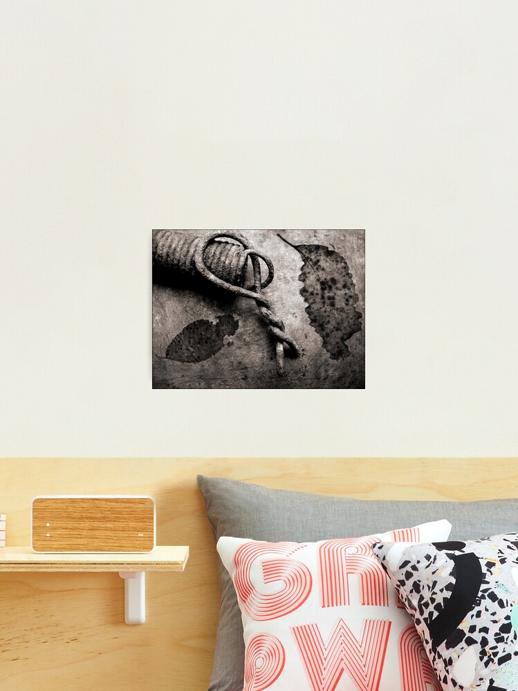 Thumbnail 2 of 3, Photographic Print, Leaf Spring designed and sold by ronmoss.