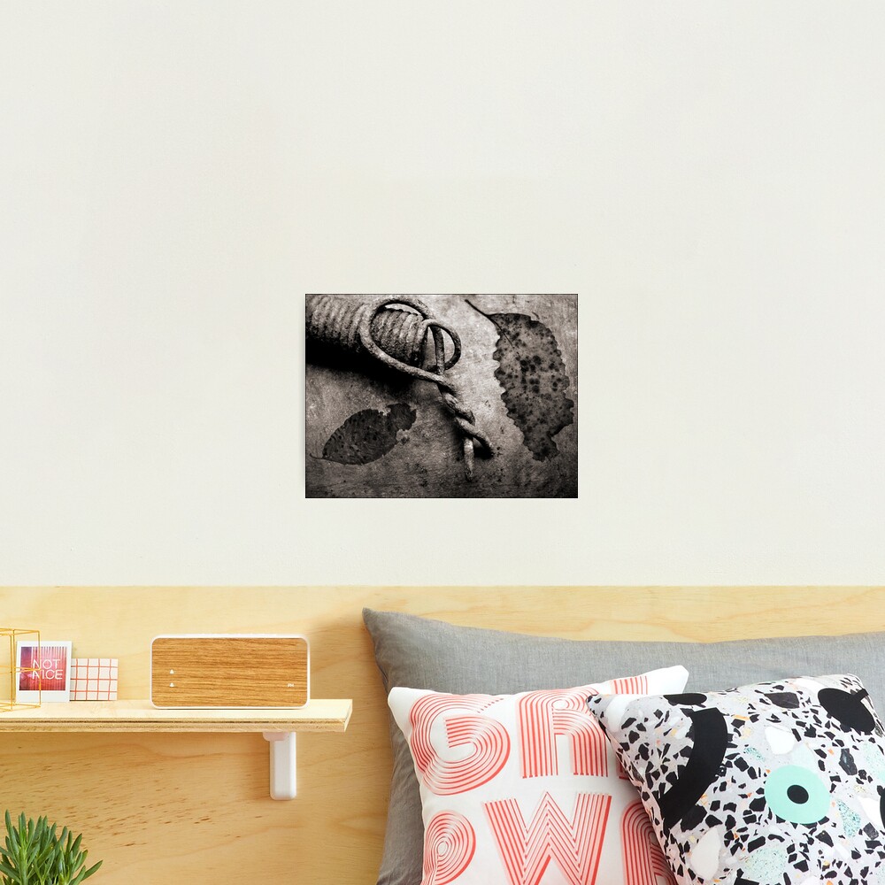 Leaf Spring Photographic Print