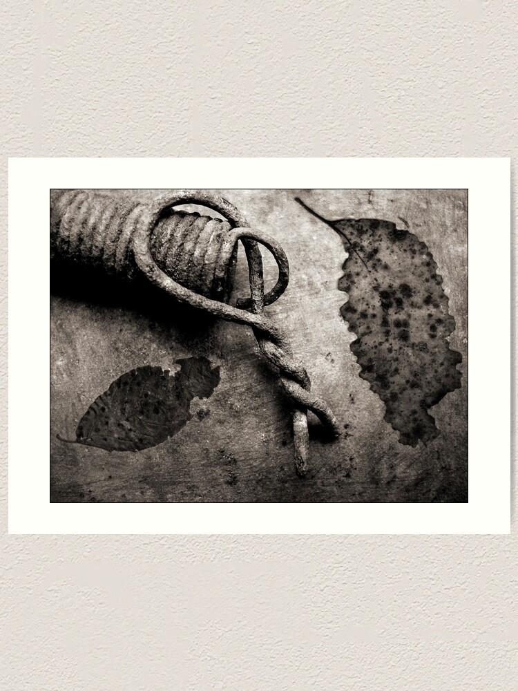 Alternate view of Leaf Spring Art Print
