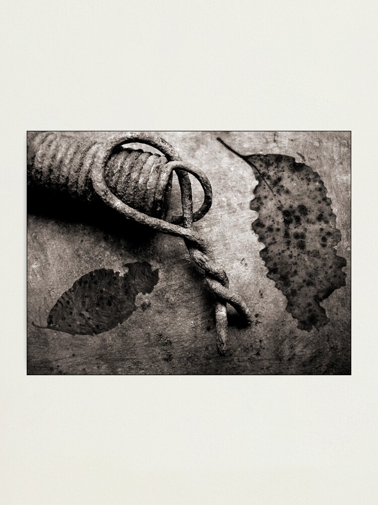 Alternate view of Leaf Spring Photographic Print
