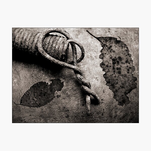 Photographic Print