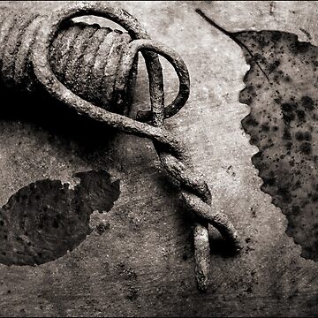 Artwork thumbnail, Leaf Spring by Ron C. Moss