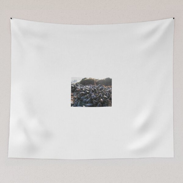 Item preview, Mussels On A Rock designed and sold by Diego Re.