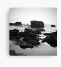 Passive Canvas Print