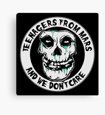 We don't care Canvas Print