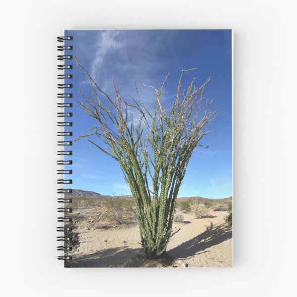Item preview, Ocotillo designed and sold by Paula Bielnicka.