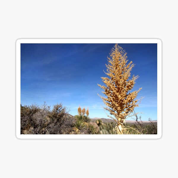 Item preview, Golden  designed and sold by Paula Bielnicka.