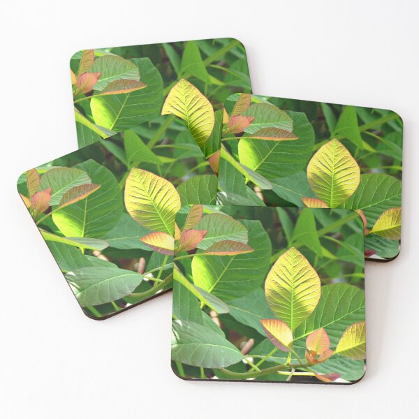 Item preview, Backlit Leaves - Hyde Hall designed and sold by BlueMoonRose.