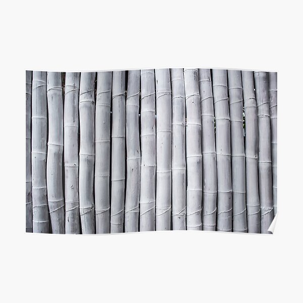Texture Pattern Background Of Wall Of Painted White Bamboo Sticks In A Wall Poster By Ardillitaphotog Redbubble