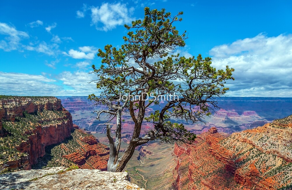 "Bright Angel Trail" By JohnDSmith | Redbubble