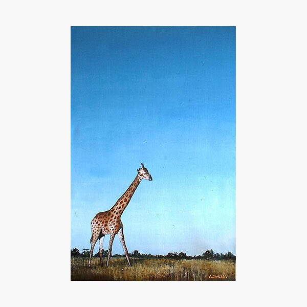 Photographic Print