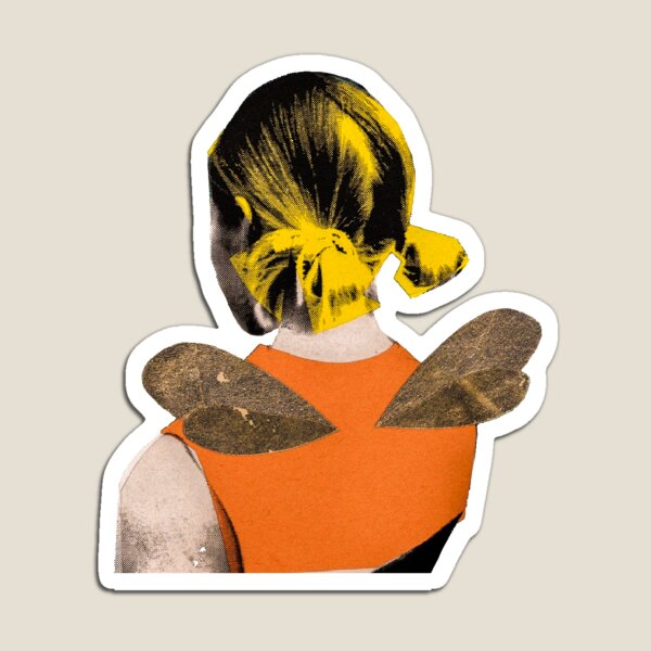 Built to spill Magnet
