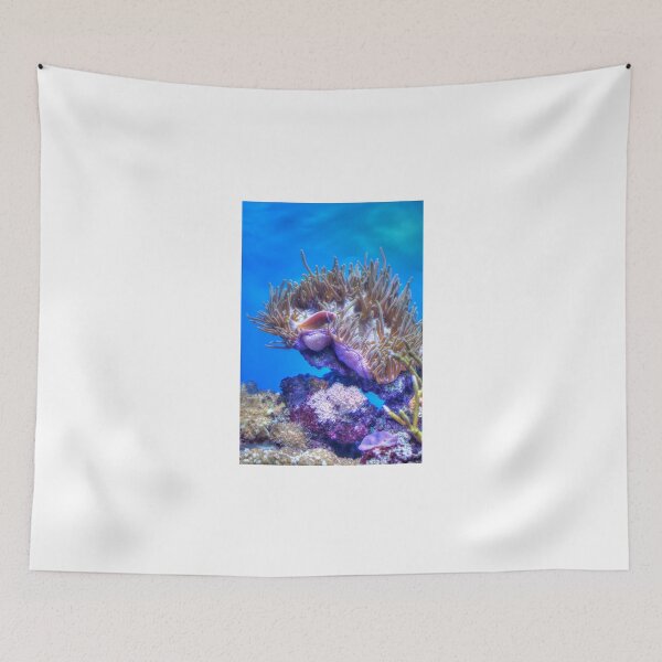 Item preview, Fish Coral House designed and sold by Diego Re.