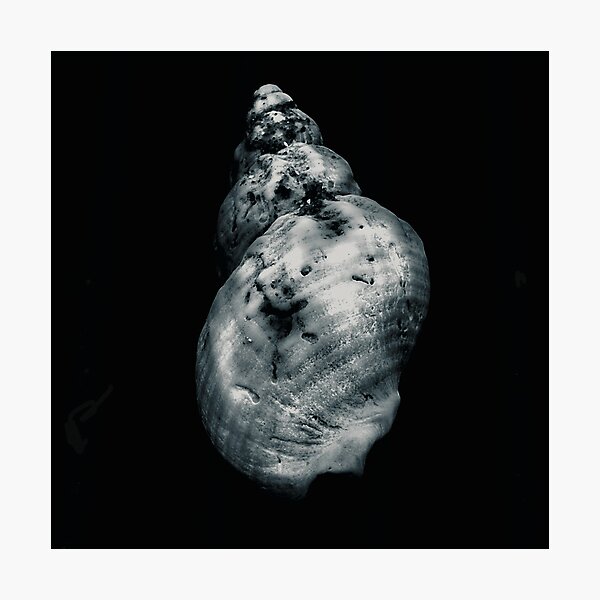 Photographic Print