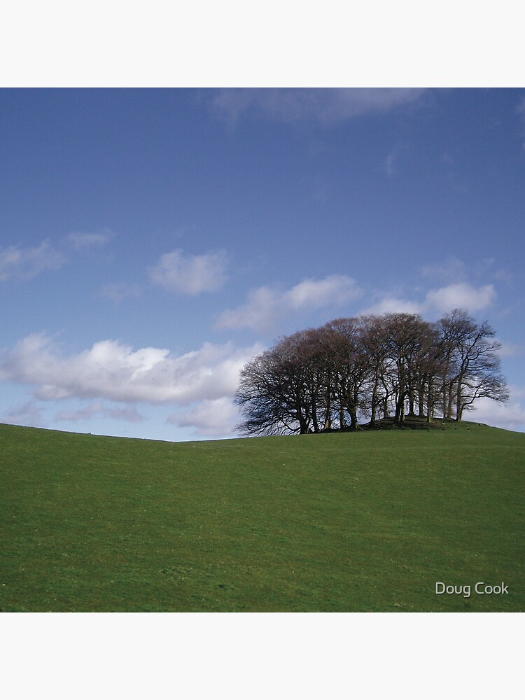 Lochend Trees by DougCook