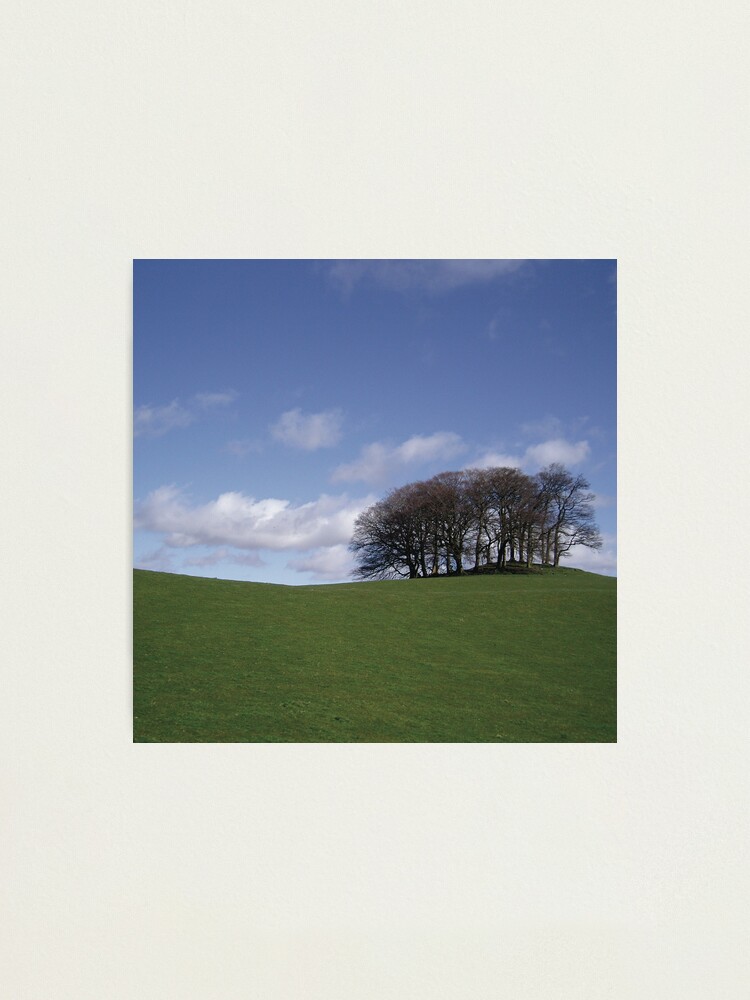 Alternate view of Lochend Trees Photographic Print