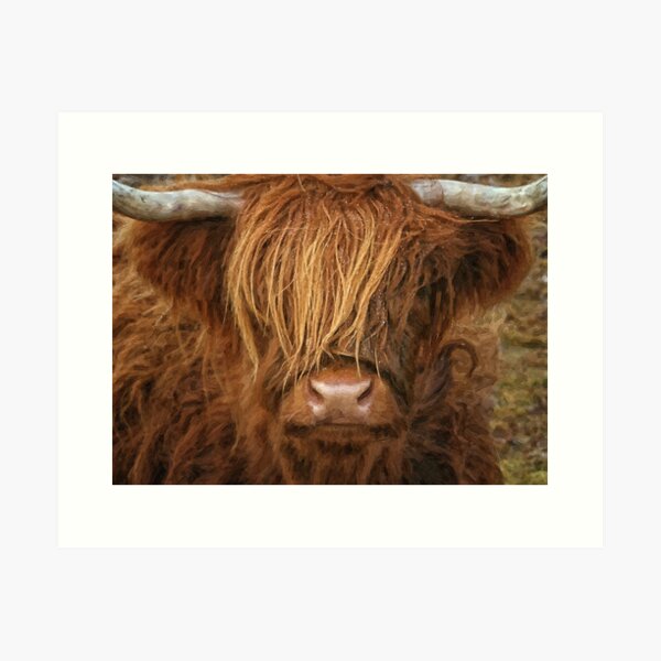 Highlander - Scottish Highland cow oil painting Art Print