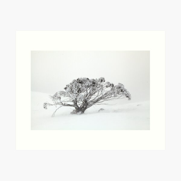 Item preview, Snow gum Mt Stirling  designed and sold by Donovan Wilson.