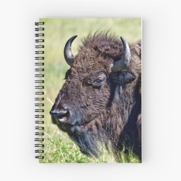 Item preview, A Buffalo Glance - The Black Hills in South Dakota designed and sold by Kent Burton.