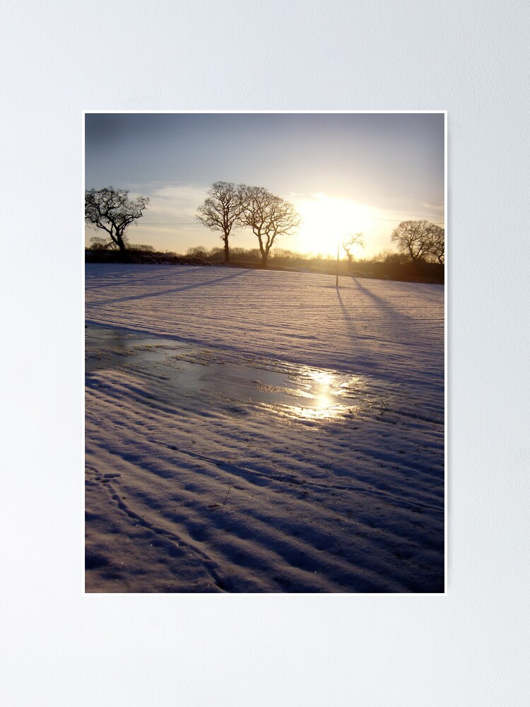 Alternate view of Dalmeny Winter Sun Poster