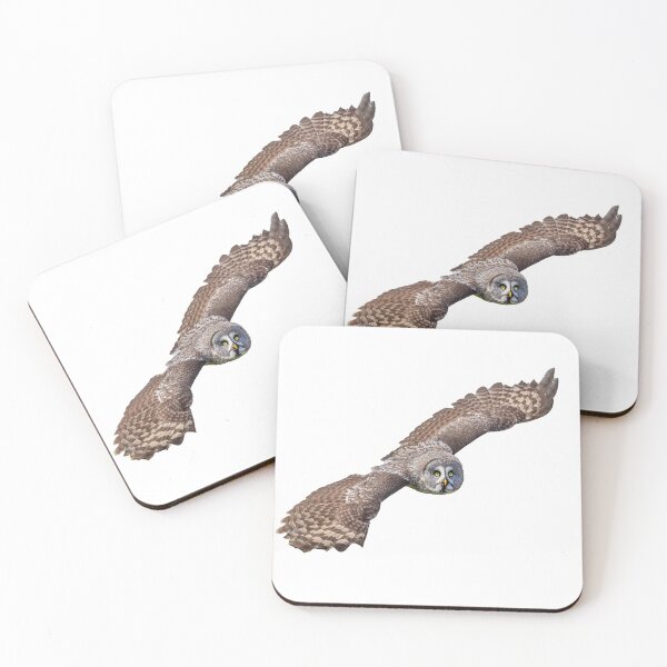 Item preview, Great Grey In flight designed and sold by Dalyndigital Photography.