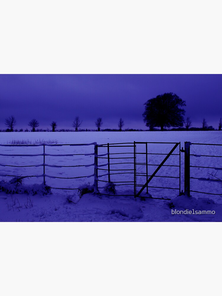 Thumbnail 3 of 3, Canvas Print, Purple haze designed and sold by blondie1sammo.