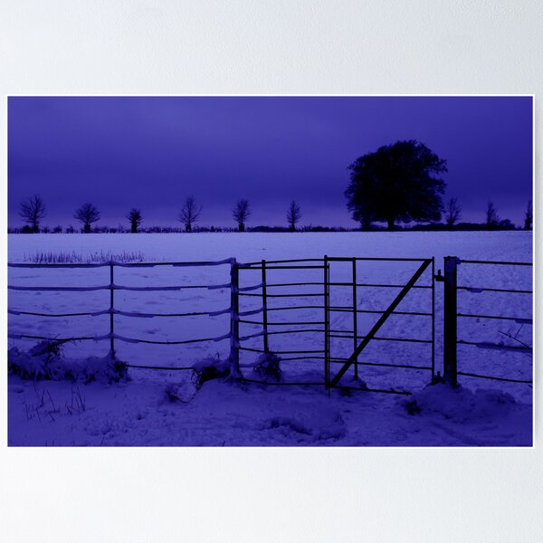 Purple haze Poster