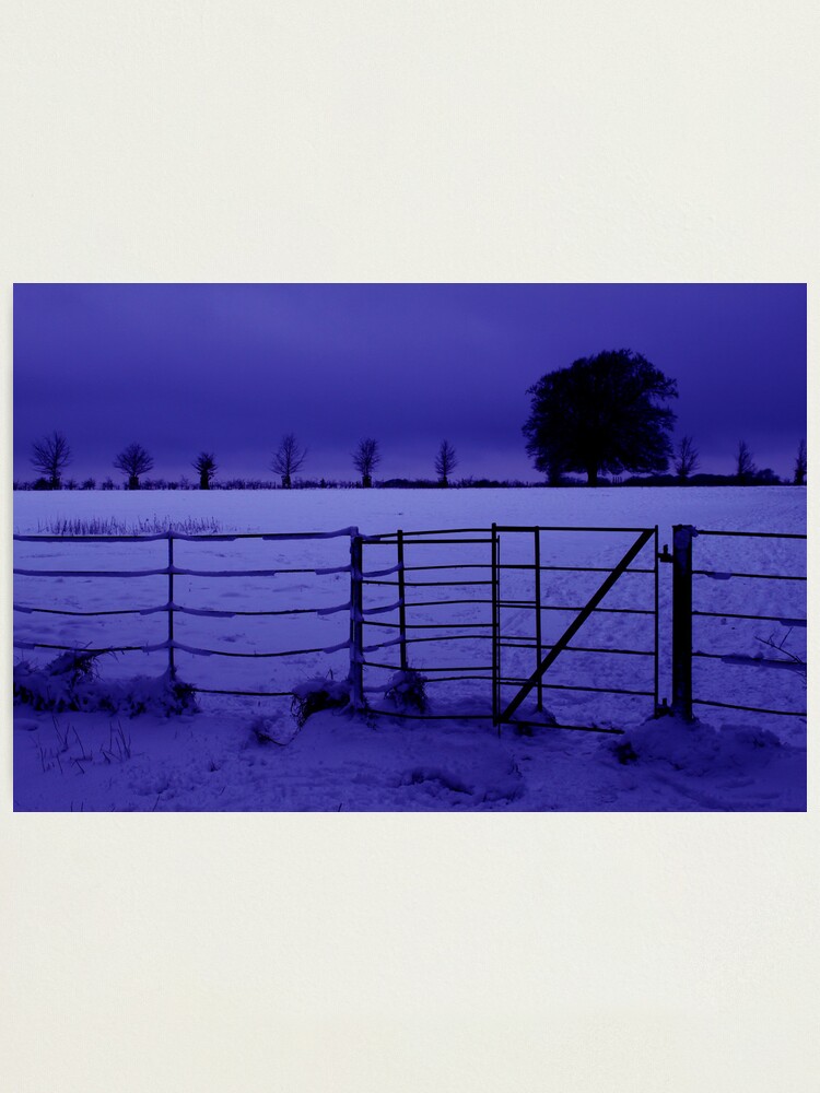 Thumbnail 1 of 3, Photographic Print, Purple haze designed and sold by blondie1sammo.