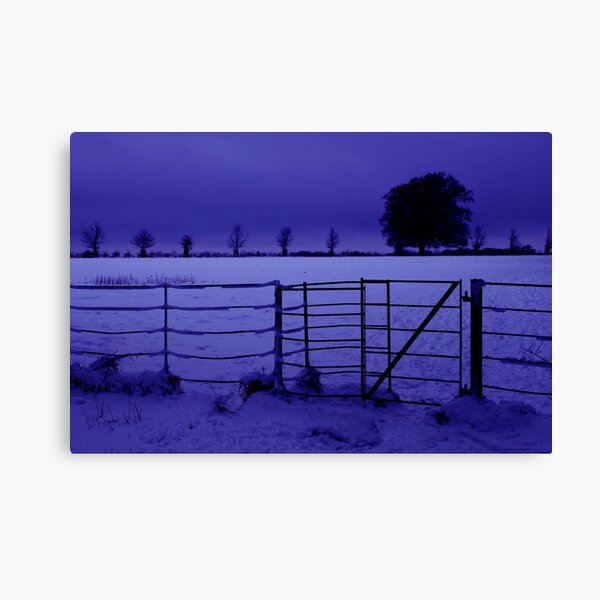 Purple haze Canvas Print