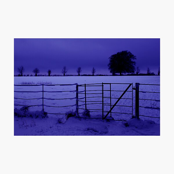 Photographic Print