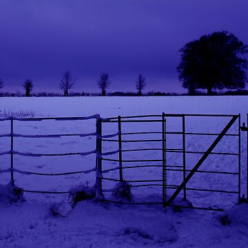 Artwork thumbnail, Purple haze by blondie1sammo