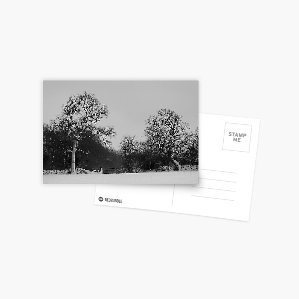 Item preview, Postcard designed and sold by blondie1sammo.