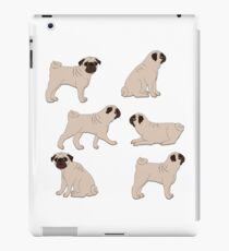 pug iPad Case/Skin