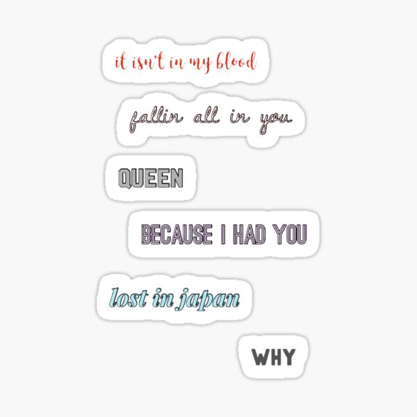 Shawn Mendes Lyrics Stickers for Sale