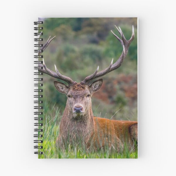 Item preview, Magnificent Stag designed and sold by iCimages.net.