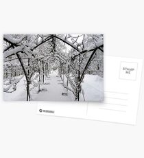 Snow Run Postcards