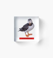 I'm your official bird Acrylic Block