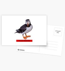 I'm your official bird Postcards