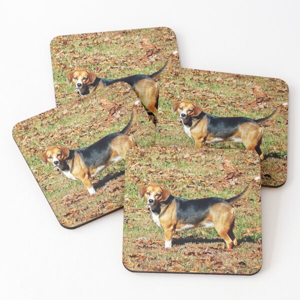 Item preview, Beatle the Beagle designed and sold by Frankie Cat Photography.