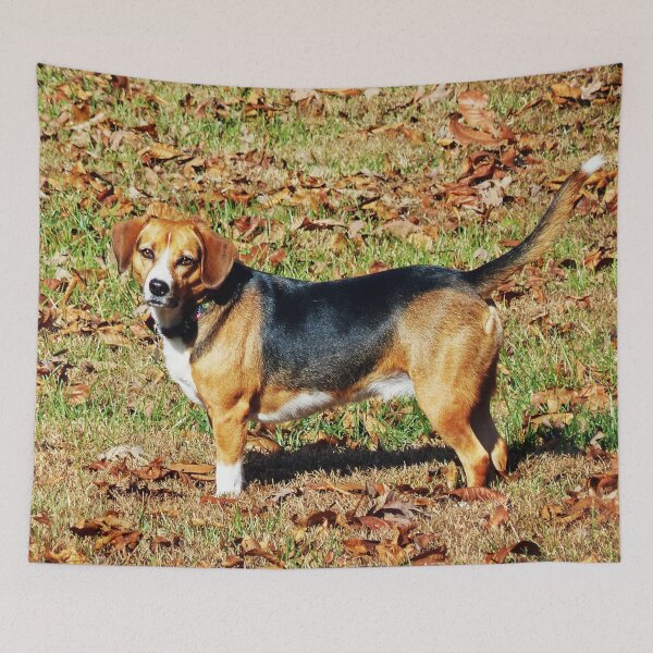 Item preview, Beatle the Beagle designed and sold by Frankie Cat Photography.