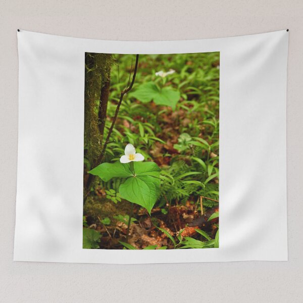 Item preview, Trillium blossoming in the forest designed and sold by jklune.