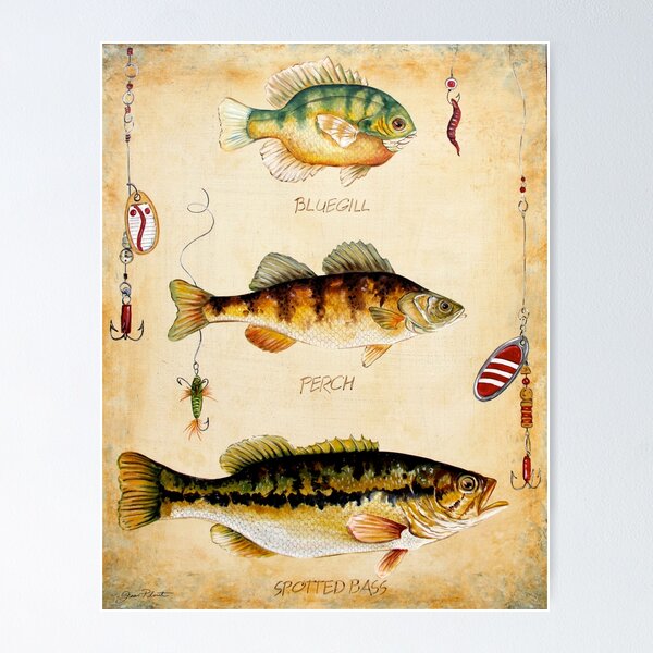 Bass Fishing Items Posters for Sale