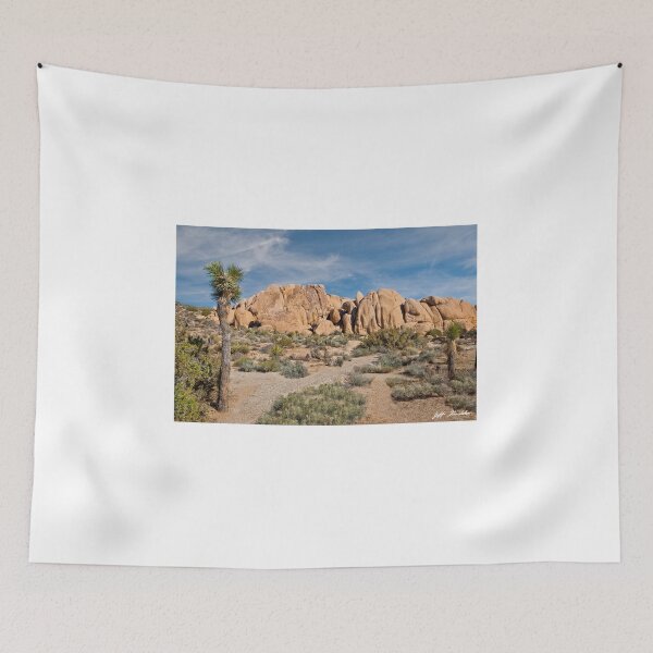 Item preview, Gneiss Rock Formation and Joshua Tree designed and sold by Jeff Goulden Photography.